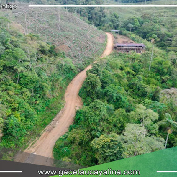 Gobierno Regional de Pasco inicia construcción de carretera en Puerto Bermúdez