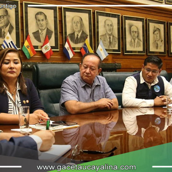 Alcalde de Atalaya gestiona recursos para combatir dengue y leishmaniasis
