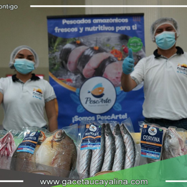 Pucallpa expande su oferta de servicios tecnológicos para apoyar a las micro y pequeñas empresas de las regiones de Ucayali