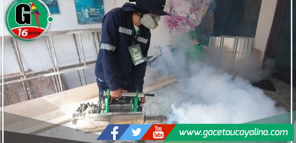 Minsa registra 294 distritos en disminución y meseta por casos de dengue