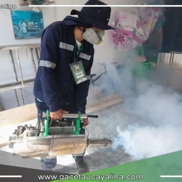 Minsa registra 294 distritos en disminución y meseta por casos de dengue
