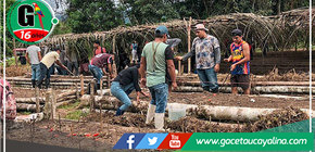Sembrando Futuros: Proyecto "Cultivos de mi Tierra Atalayina" Beneficia a Comunidades Nativas