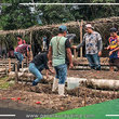 Sembrando Futuros: Proyecto "Cultivos de mi Tierra Atalayina" Beneficia a Comunidades Nativas