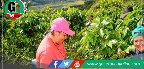 San Martín destaca reduciendo la pobreza mientras a nivel nacional aumenta