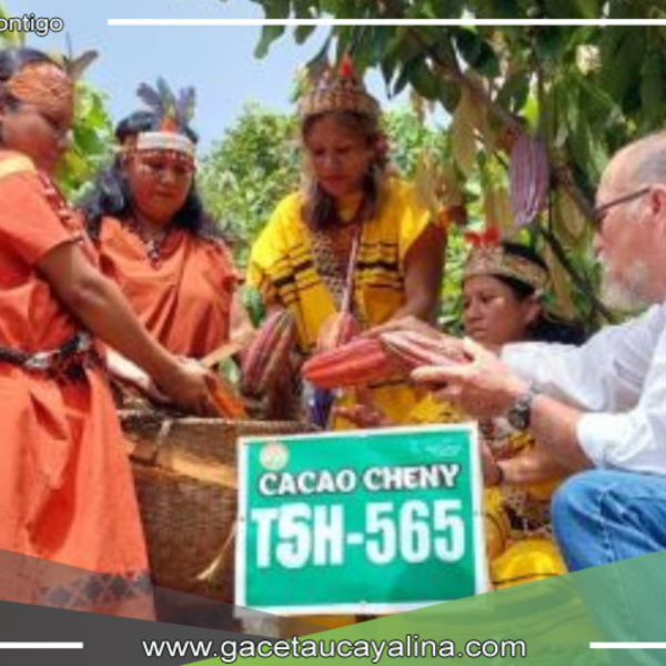 San Juan de Cheni celebrará el Segundo Festival de Montañas de Cacao Finos de Aroma