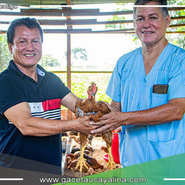 Alcalde Fernando Arechaga García fortalece el sector agropecuario con entrega de aves y maquinaria