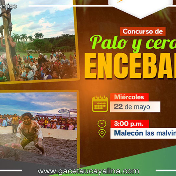 Concurso de Palo y Cerdo Encebado: Una Fiesta de Tradición y Habilidad en la provincia de Padre Abad