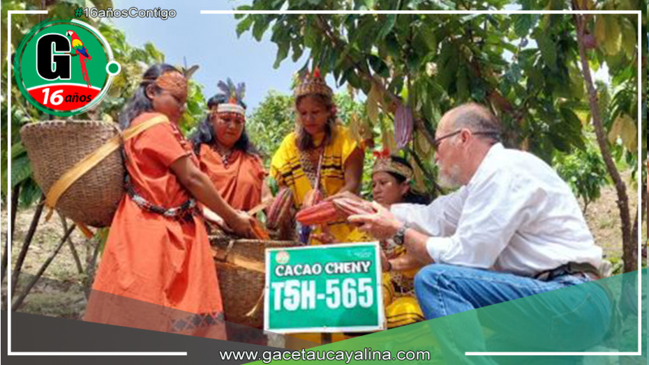 Celebración del Segundo Festival de Montañas de Cacao Finos de Aroma en San Juan de Chen