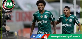 Palmeiras clasificado 