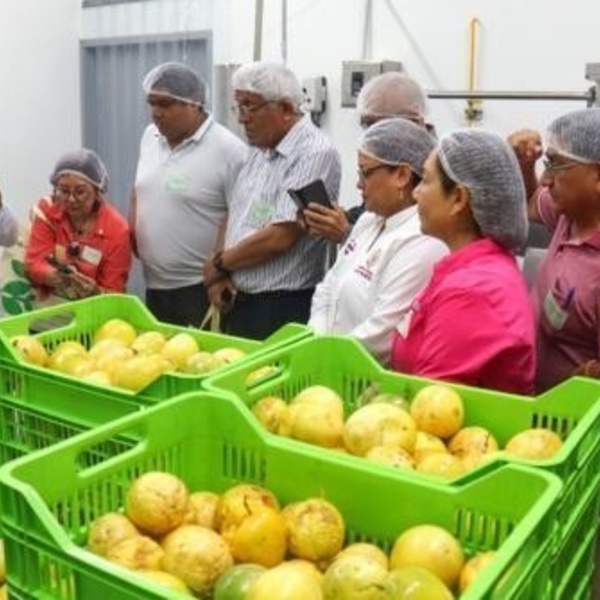 San Martín: inauguran un nuevo Centro de Procesamiento de Alimentos en la región