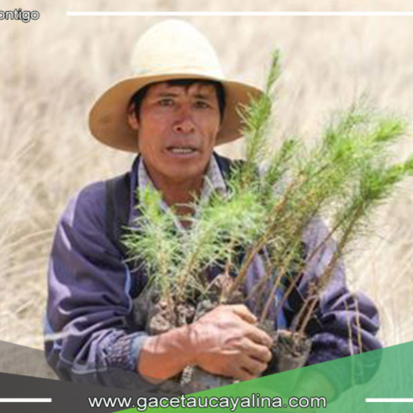 Junín: finaliza la elaboración del expediente técnico para el proyecto de restauración de servicios ecosistémicos