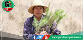 Junín: finaliza la elaboración del expediente técnico para el proyecto de restauración de servicios ecosistémicos