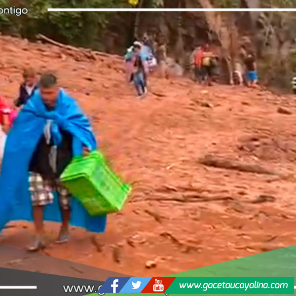 Deslizamiento en Perené deja cientos de vehículos varados en Junín