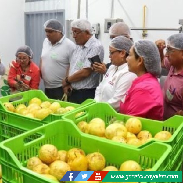 San Martín: inauguran un nuevo Centro de Procesamiento de Alimentos en la región