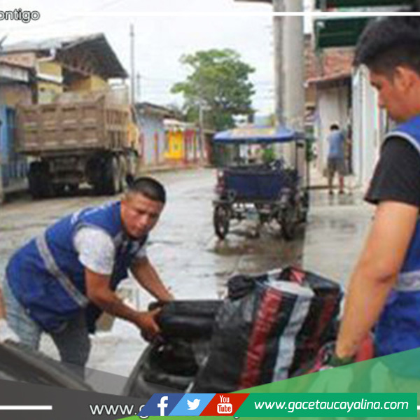 San Martín: se han erradicado 15 toneladas de posibles criaderos del mosquito transmisor del dengue