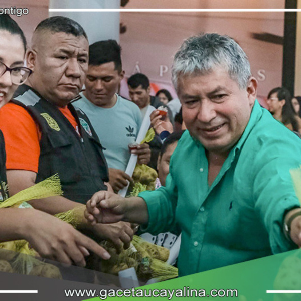 Huánuco se alista para crear la "Papa rellena más grande del mundo"