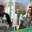 Diez productores de lácteos de Huánuco participarán en el Salón del Queso Peruano