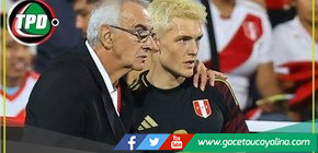 Fossati: “Sonne puede ser importante”