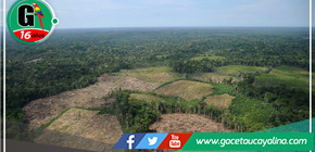 Ucayali: El Gobierno promoverá la legalización de áreas desforestadas en la región amazónica