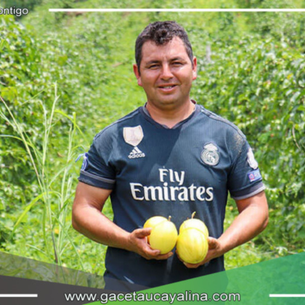 Proyecto de USAID y Perú-HUB impulsa el cultivo de maracuyá en San Martín