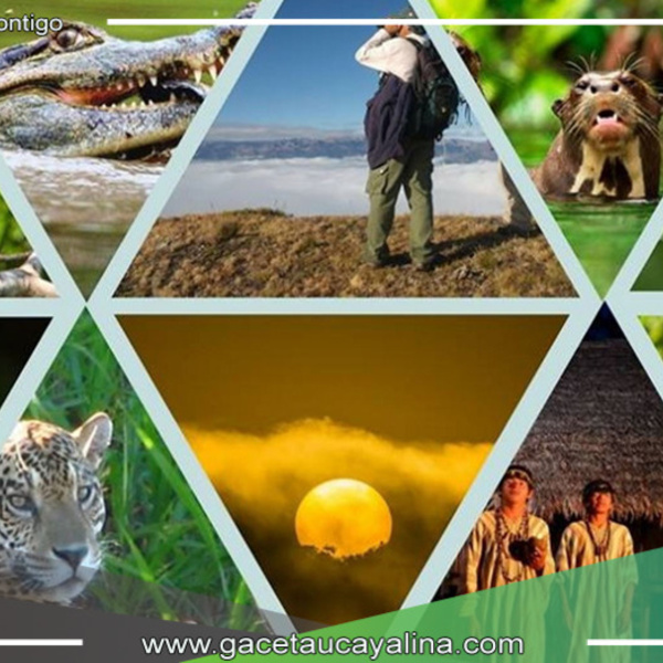 Protección del corredor ecológico Manu Purús: la comunidad internacional apoyará la conservación de esta excepcional biodiversidad