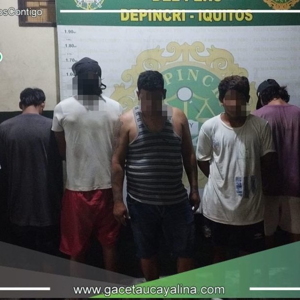 Agentes de radio patrulla desarticulan banda delictiva "Los hinchas del mal"