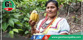 Mujeres indígenas de la selva peruana encuentran oportunidades en el alto precio del cacao