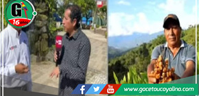 INIA y Provraem realizan estudio de suelo para optimizar cultivos en el VRAEM