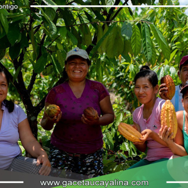 Lanzamiento del Programa para Bionegocios impulsa el desarrollo sostenible en la Amazonía peruana