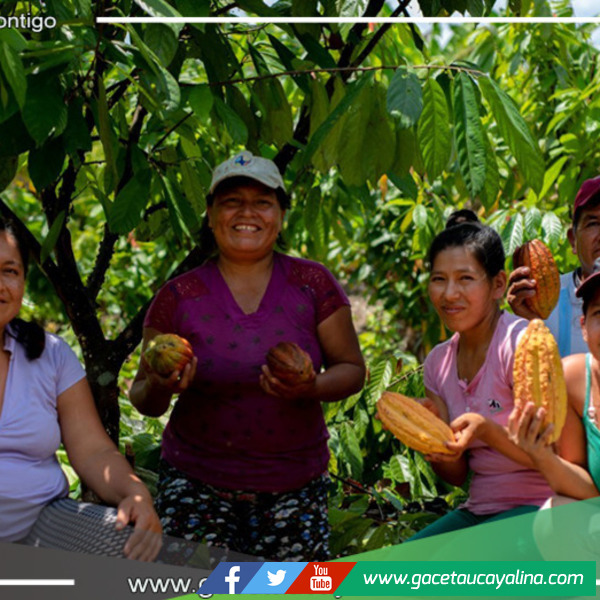 Lanzamiento del Programa para Bionegocios impulsa el desarrollo sostenible en la Amazonía peruana