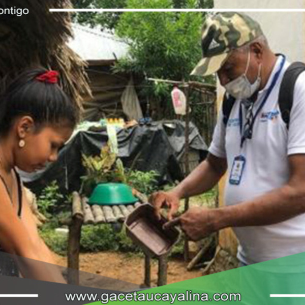 San Martín confirma su liderazgo como la región con la mayor reducción de casos de dengue