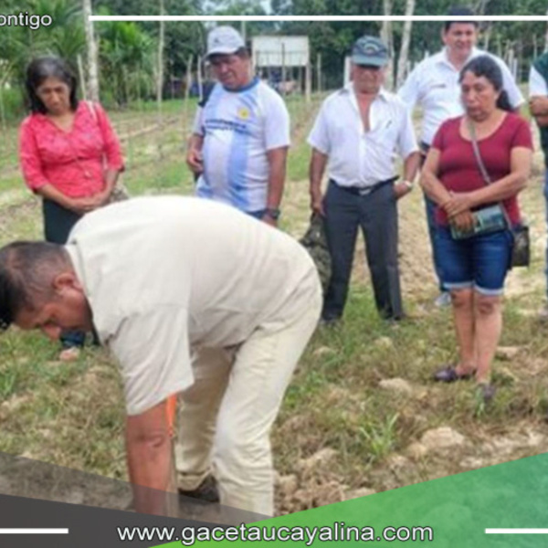 El INIA ha lanzado una campaña para evaluar la fertilidad agrícola en las regiones del Alto y Bajo Huallaga en Loreto