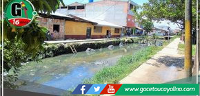 “Es absurdo que organismos estatales no quieran cumplir una sentencia del Tribunal Constitucional”