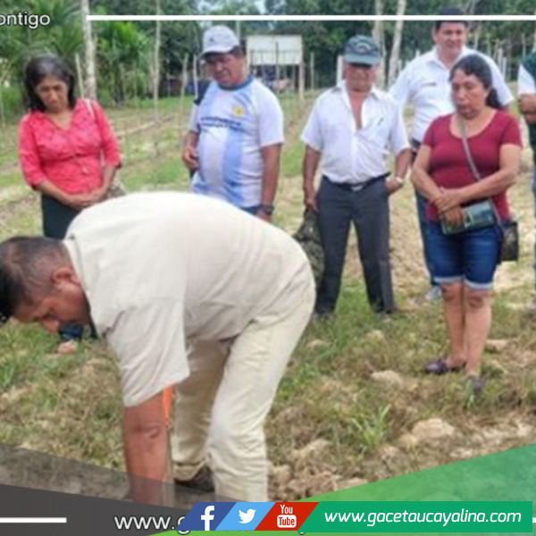 El INIA ha lanzado una campaña para evaluar la fertilidad agrícola en las regiones del Alto y Bajo Huallaga en Loreto