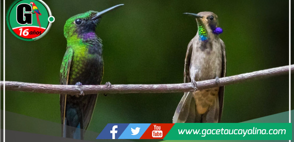 Autoridades se congregan en San Martín para fortalecer la gestión de áreas de conservación regional