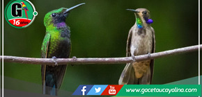 Autoridades se congregan en San Martín para fortalecer la gestión de áreas de conservación regional