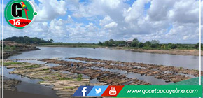 Ucayali: Se desmantela una posible organización delictiva vinculada a la extracción ilegal de recursos maderables