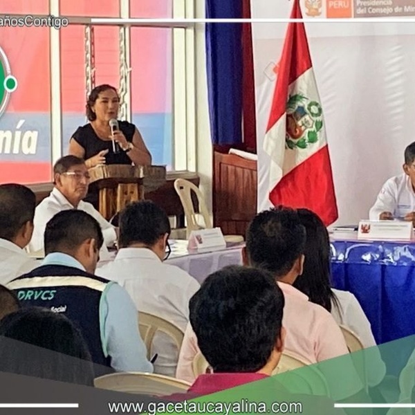 “Hay que ganarle al crimen de la minería ilegal”