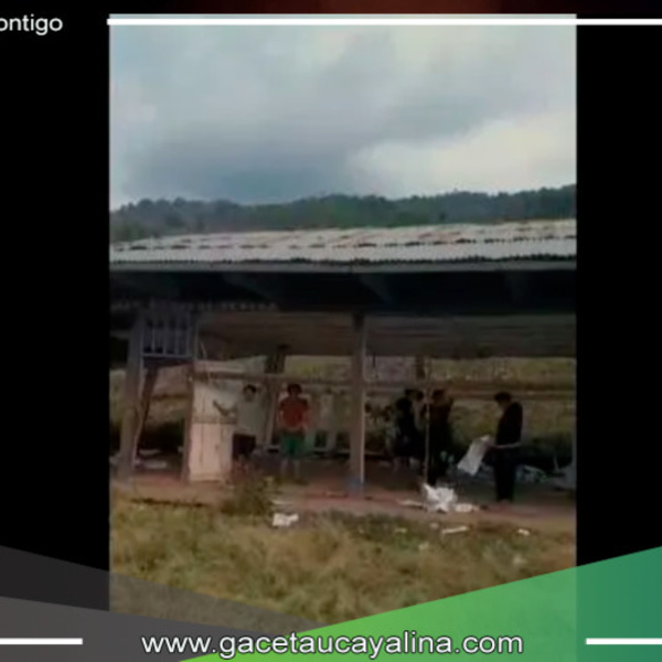 Junín: Más de 100 Escolares Asháninkas Estudian en Condiciones Precarias tras Colapso de Su Escuela