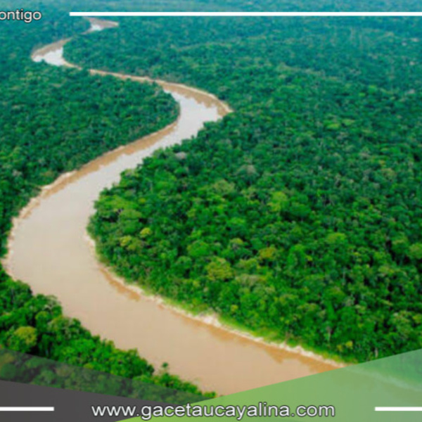 Congreso aprueba creación de la Autoridad Multisectorial de la Cuenca del río Putumayo