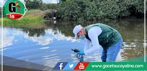 Monitoreo Pionero: ANA Evalúa la Calidad del Agua en la Intercuenca 49877 de Manseriche