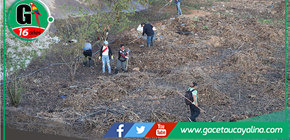 Se recolecta 150 t de residuos de las orillas de la laguna de yarinacocha con participación de servidores de la MDY