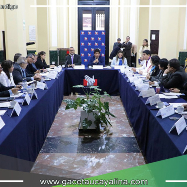 Implementación de Estrategias para Fortalecer el Hospital Regional de Pucallpa