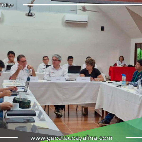 Acciones Conjuntas en Ucayali para Combatir la Tala Ilegal: Sesión Descentralizada de la CMLTI