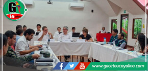 Acciones Conjuntas en Ucayali para Combatir la Tala Ilegal: Sesión Descentralizada de la CMLTI