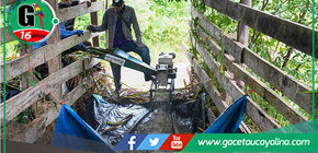 Capacitación en Ensilaje para Ganaderos Locales en Sepahua