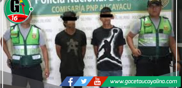 Detenido a sujeto con requisitoria de hurto agravado 