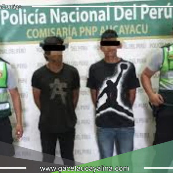 Detenido a sujeto con requisitoria de hurto agravado 