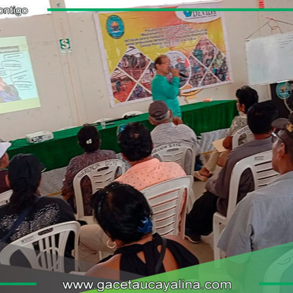Destacado taller impulsa el crecimiento de asociaciones cacaoteras en Campo Verde