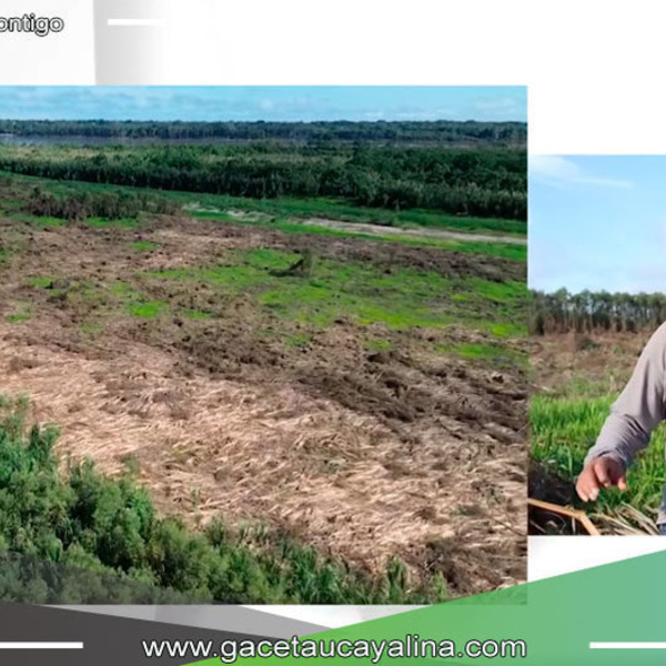 Alcalde Rodolfo Lovo Tello lanza plan piloto para producción agrícola en Contamanillo